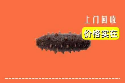 收购资讯:齐齐哈尔甘南回收海参