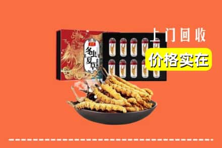 齐齐哈尔甘南回收虫草